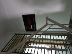 16775572801821654409502281165441 - Ipsos SamiField.jpg